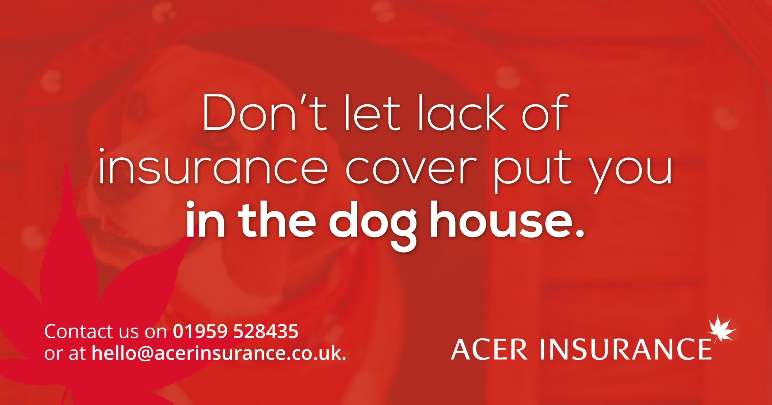 Don't let lack of flood insurance put you in the dog house