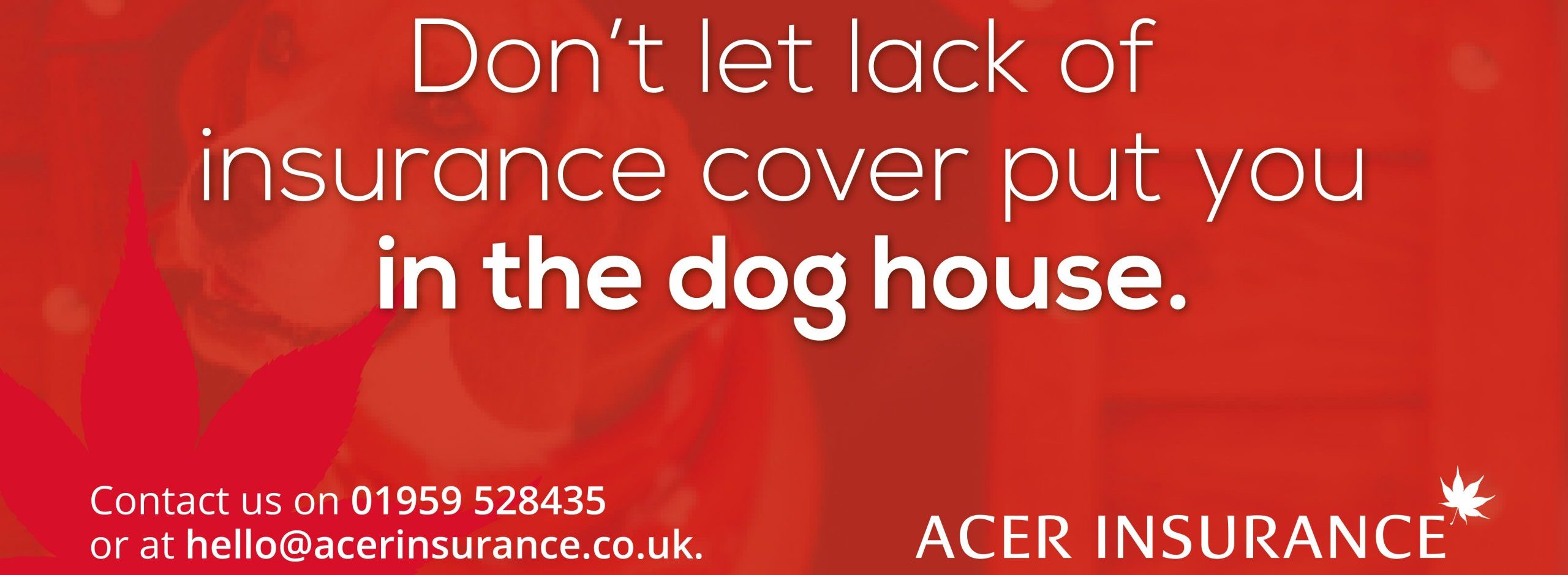 Don't let lack of insurance cover put you in the dog house