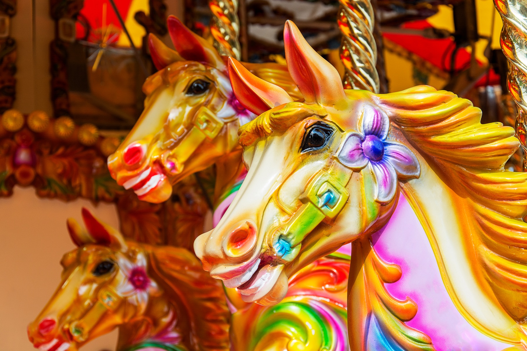Image of the heads of 3 carousel horses